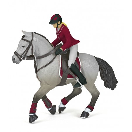 Cavallo da concorso e la sua cavallerizza Papo