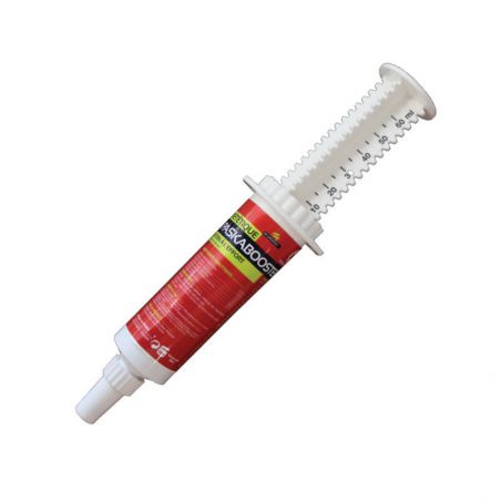 Paskabooster siringa