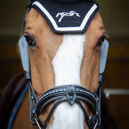 Paraschizzi australiani Pénélope