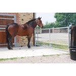 CANCELLO DA PASCOLO FISSO DIAMETRO 42/35