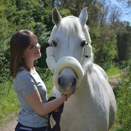 Capestro da trasporto Flags & Cup
