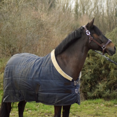 Coperta da scuderia Equithème Teddy