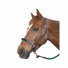 Capestro in corda Canter fibbie bianche - Marrone / verde foresta