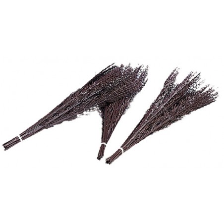 Mazzo di betulla La Gée