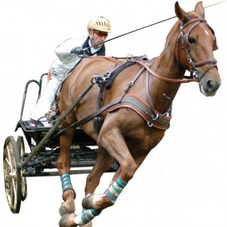 Sottopancia MARATHON Eric Le Tixerant