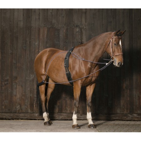 Redini ausiliarie con carrucole Norton