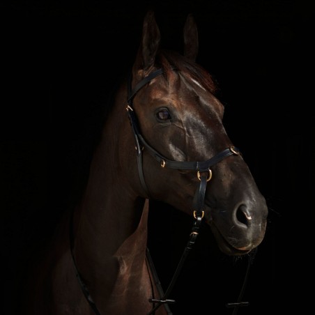 Briglia combinata Orlando Horze bitless in cuoio