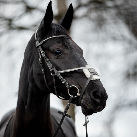 Briglia Valencia Capezzina Incrociata con strass