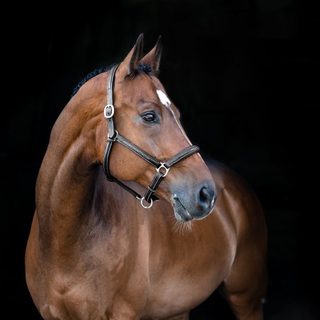 Capezza in morbida pelle Warren Horze