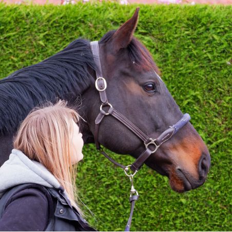 Capestro in corda Canter