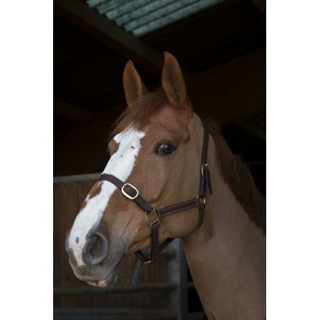 Capezza Norton Club in cuoio