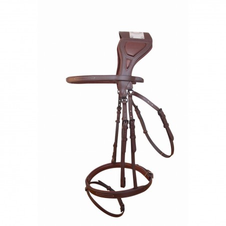 Briglia con ponte Chagall T de T