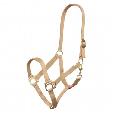 Capezzina Imperial Riding Economic