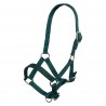 Capestro per puledro in nylon con capezzina e frontalino regolabili Imperial Riding - Verde foresta
