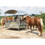 Rastrelliera quadrata con tetto Kerbl