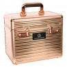 Box per la toelettatura Imperial Riding Shiny Classic small - Oro rosa