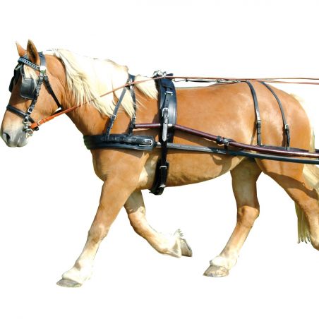 Imbragatura EURO in coppia con arretramento Chetak