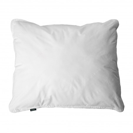 Cuscino Back on Track