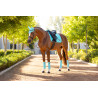 Sottosella LeMieux Loire Classic Dressage Square - Azzurro