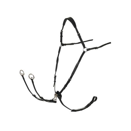 Pettorale con martingala LeMieux