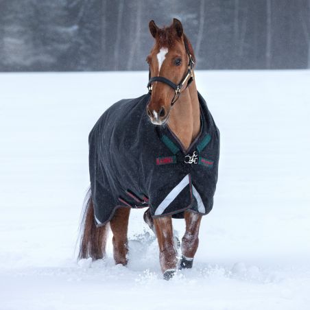 Coperta da esterno Horseware Rambo Wug 400g