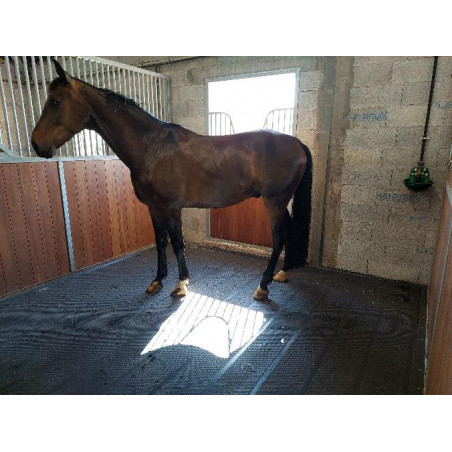 Tappetino principale - Pavimento del box