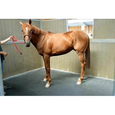 Materasso da box Pégase