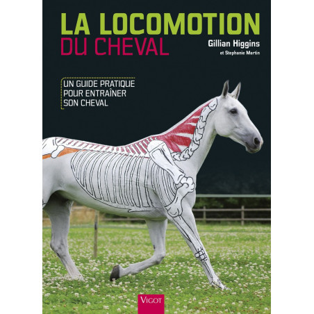 La Locomozione del Cavallo