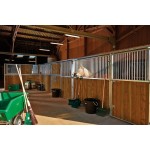 FASSADENELEMENT MIT STREBEN - Douglas / Schwanenhals