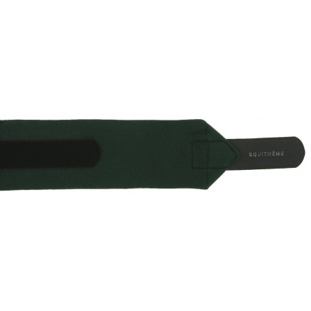 Fasce da polo Equithème