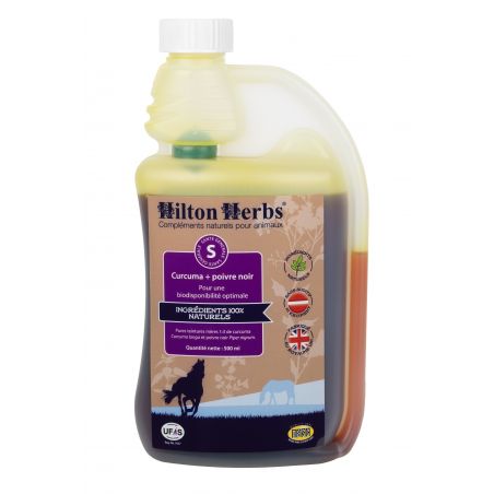 Curcuma e Pepe Nero Hilton Herbs