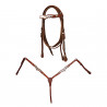 Briglia western Lakota con pettorale e redini con decorazioni in argento - Naturale