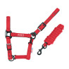 Cavezzone Pool in nylon con fibbie nere e longhina - Rosso