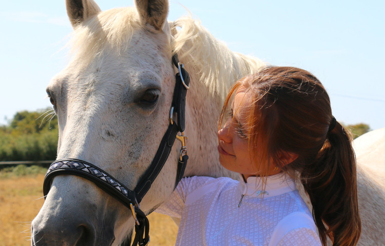 Blog di EQUI