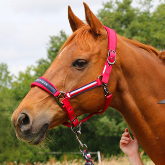Scopri la collezione Tommy Equestrian P/E 2026