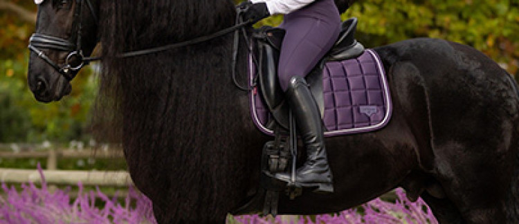 Scopri la collezione LeMieux Autunno-Inverno 2025