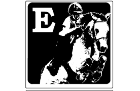 Equizor