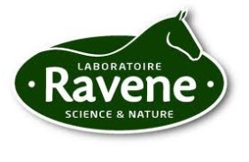Ravene