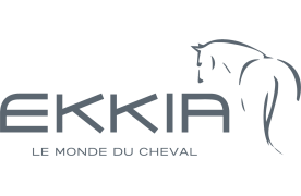 Ekkia
