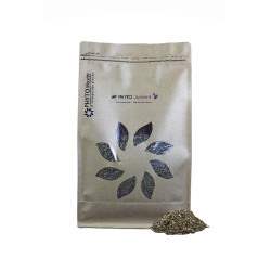 Phyto Giumenta Phyto Master