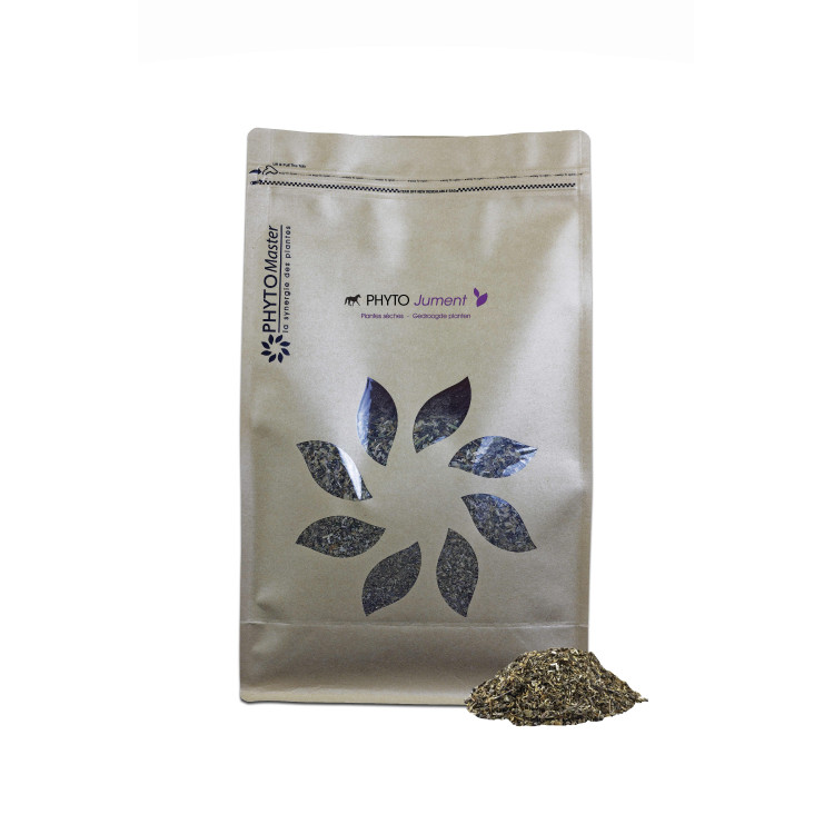 Phyto Giumenta Phyto Master