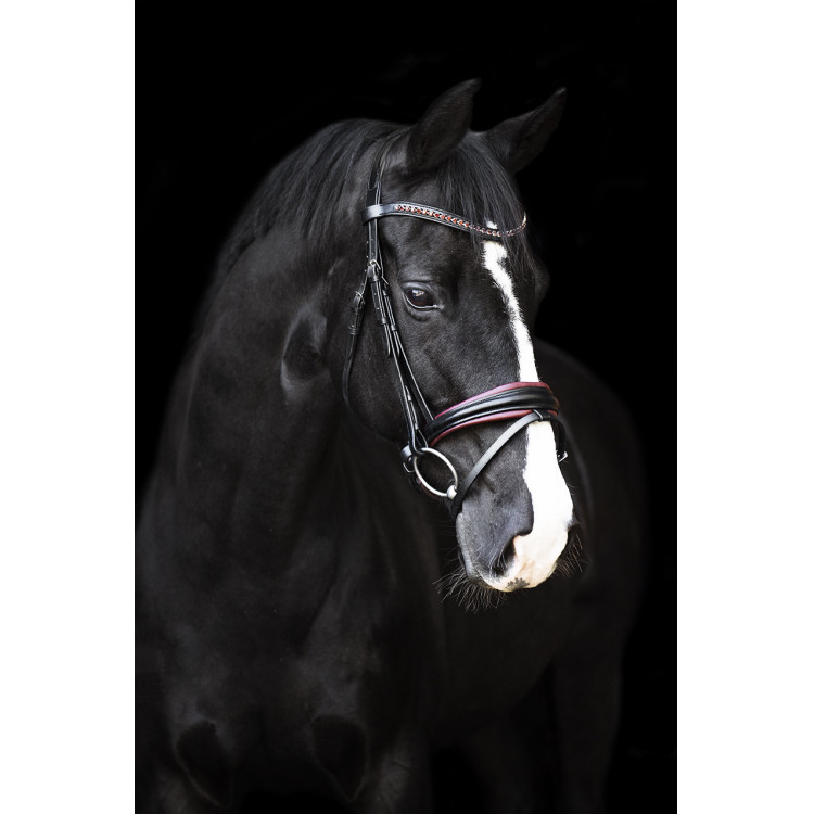 Briglia Impérial Riding Fria Briglia Impérial Riding Fria