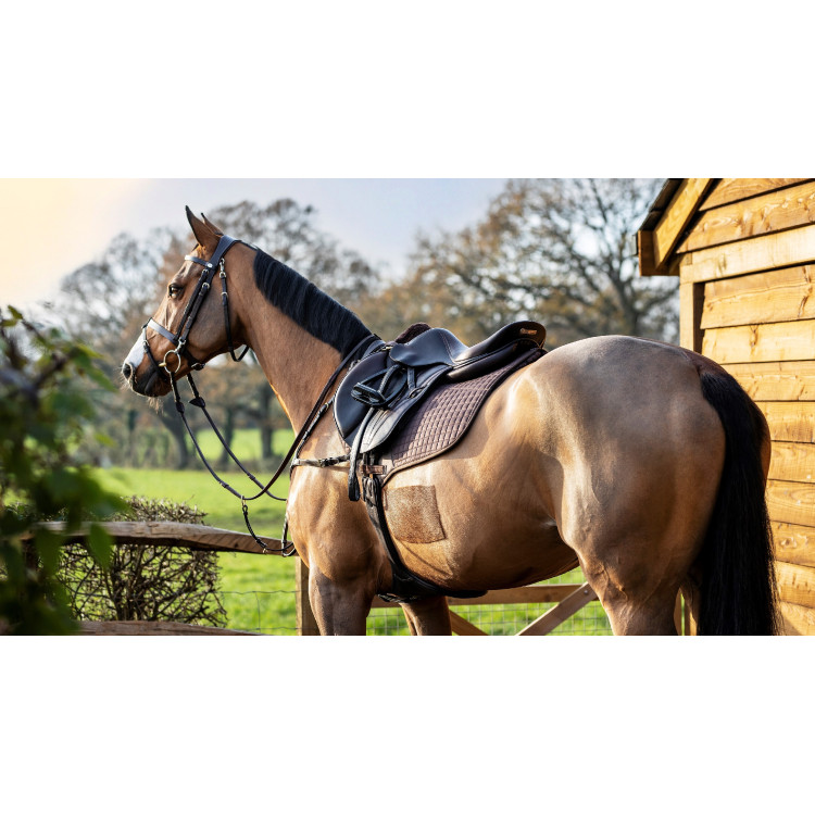 Sottosella LeMieux Prosport close contact square - cotone