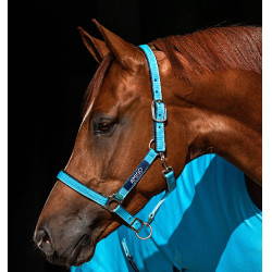 Cavezza Horseware Amigo