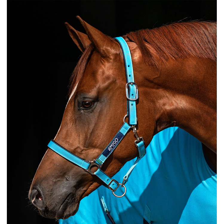 Cavezza Horseware Amigo