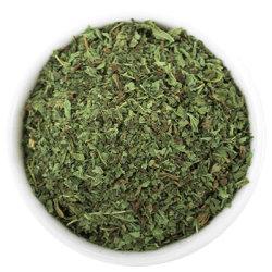 Menta pianta Hilton Herbs
