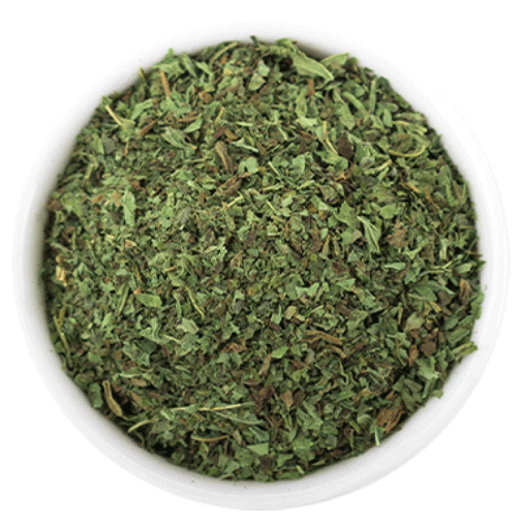 Menta pianta Hilton Herbs