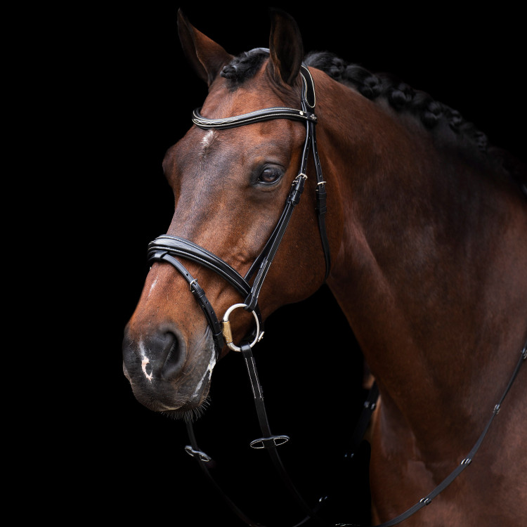 Briglia HV Polo Legacy