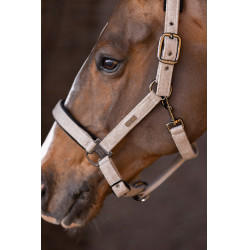 Capezza HV Polo Francis Capezza HV Polo Francis
