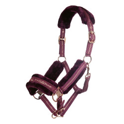 Capezzina Rosegold HKM